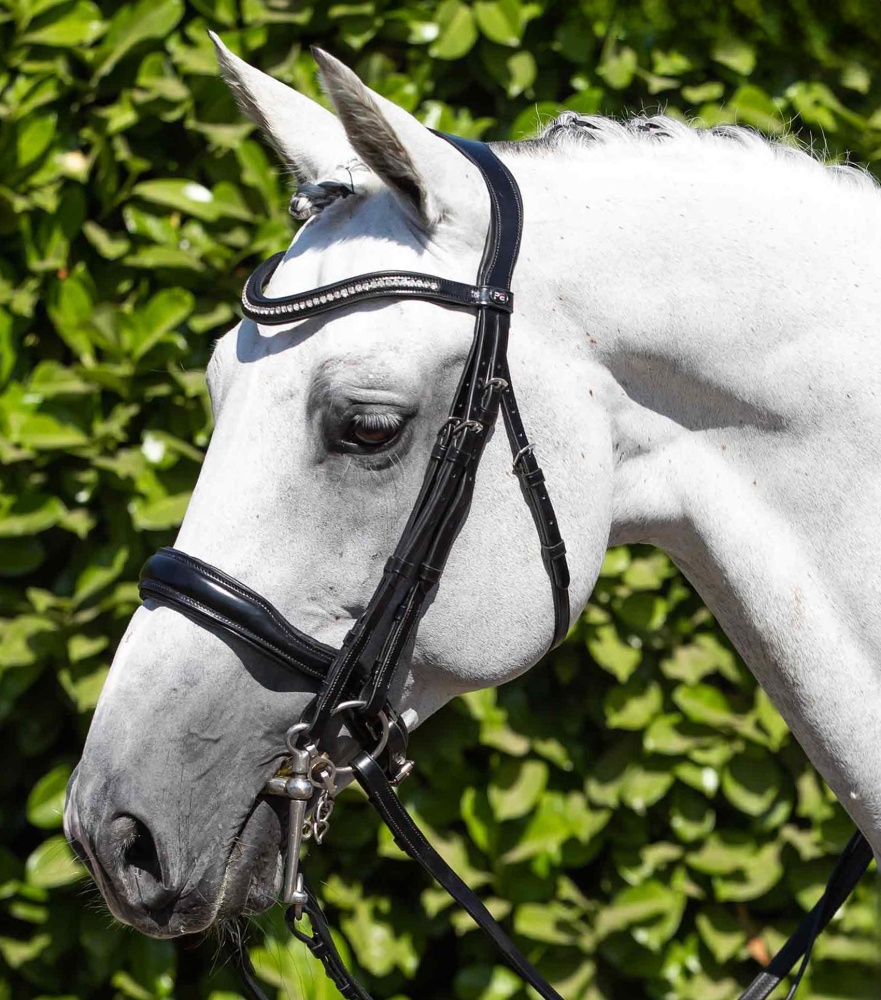 Premier Equine Abriano Anatomic Double Bridle